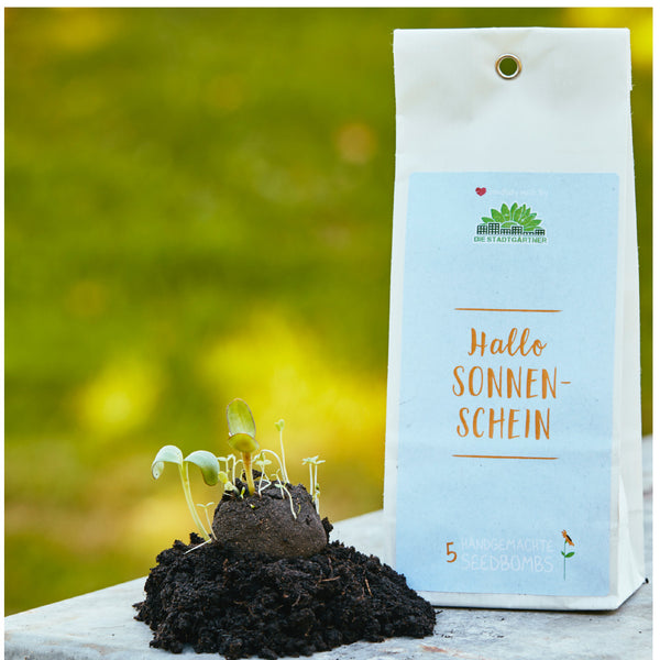 Des bombes de graines en germination à côté d'un emballage portant l'inscription « Hello Sunshine »