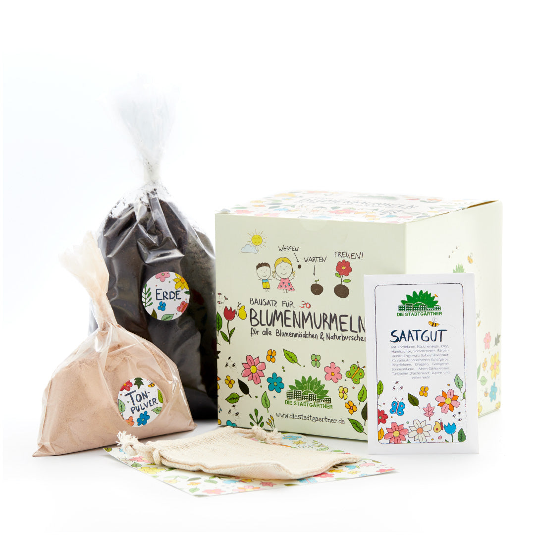 Coffret de graines de fleurs avec boîte, sac de terre, sac de poudre d'argile, sac de graines et sac en tissu, le tout illustré de manière colorée.