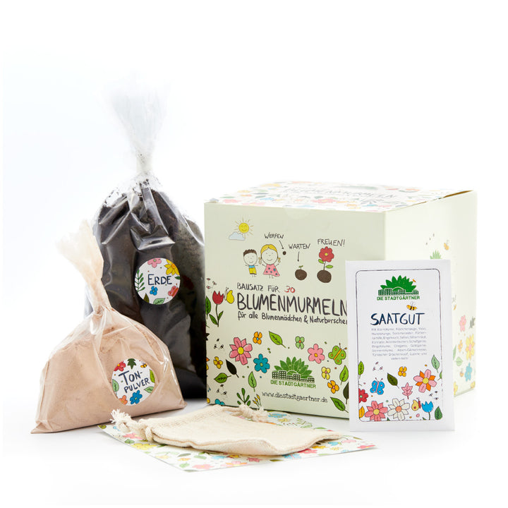 Coffret de graines de fleurs avec boîte, sac de terre, sac de poudre d'argile, sac de graines et sac en tissu, le tout illustré de manière colorée.