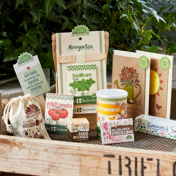 Divers produits de jardin tels qu'un mini jardin, un ensemble de basilic, des graines de tomates sauvages et des boutures de fleurs sauvages présentées dans une boîte en bois rustique.