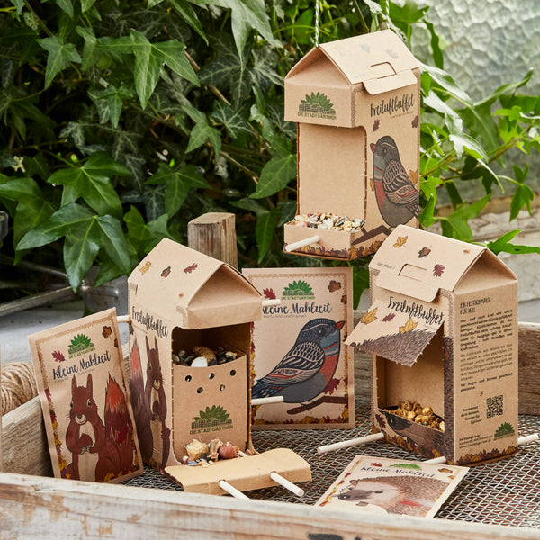 Mangeoires à oiseaux et à écureuils en carton sur une table en bois avec des plantes en arrière-plan.