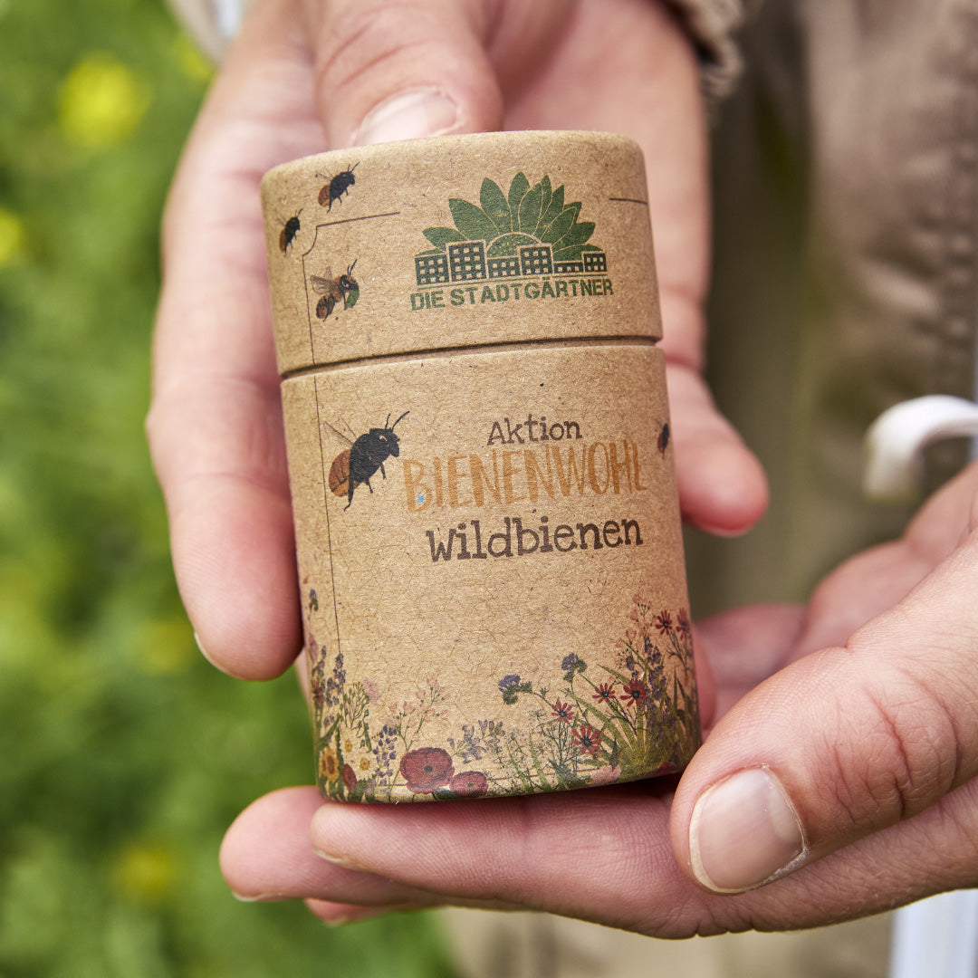 Une main tient une boîte en carton marron avec l'inscription « Aktion Bienenwohl Wildbienen » et une illustration de fleurs sauvages et d'abeilles.