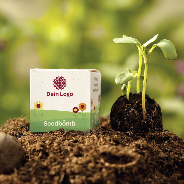 Bombe à graines avec l'inscription « Votre logo » à côté d'une plante en germination dans le sol.