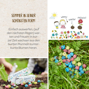 Collage de boules de graines de fleurs, comprenant le texte « L'été à son meilleur », une illustration d'enfants plantant des boules de graines et une main plaçant une boîte de boules de graines dans le sol.