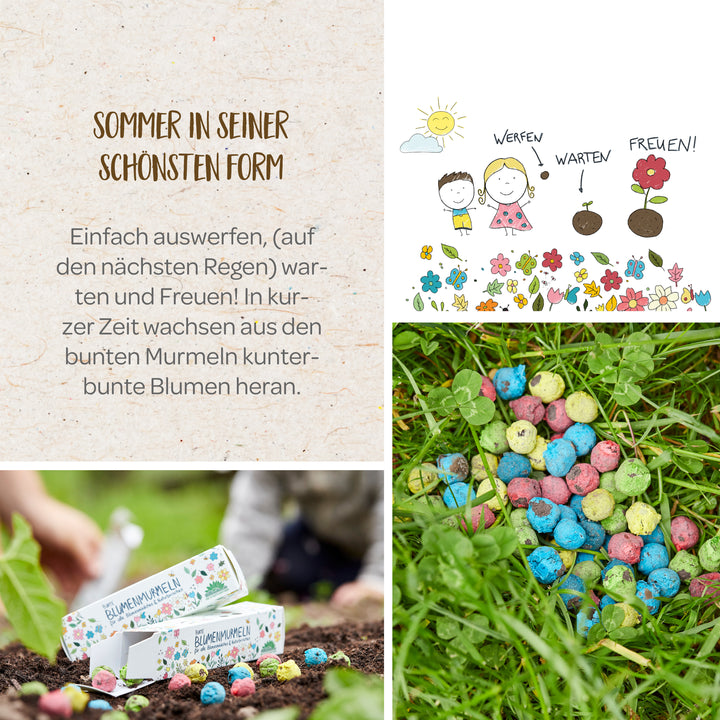 Collage de boules de graines de fleurs, comprenant le texte « L'été à son meilleur », une illustration d'enfants plantant des boules de graines et une main plaçant une boîte de boules de graines dans le sol.