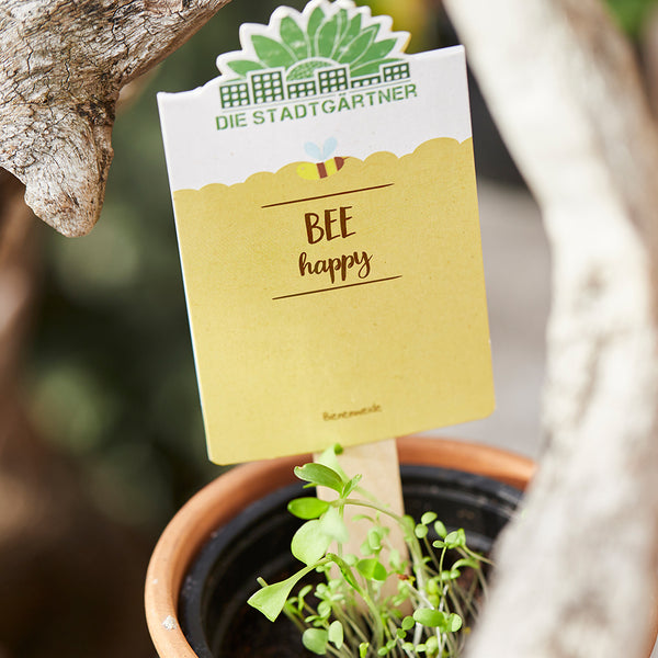 Étiquette de plante jaune avec l'inscription "BEE happy" dans un pot de fleurs avec de jeunes plantes.
