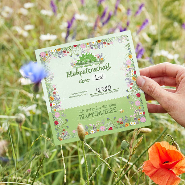 Certificat de parrainage de fleurs pour 1 m²