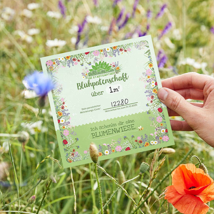 Certificat de parrainage de fleurs pour 1 m²