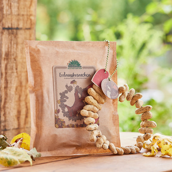 Un sac en papier brun étiqueté « Couronnes d'arachides - Collations amusantes pour les écureuils » et une couronne d'arachides sur une table en bois à l'extérieur.