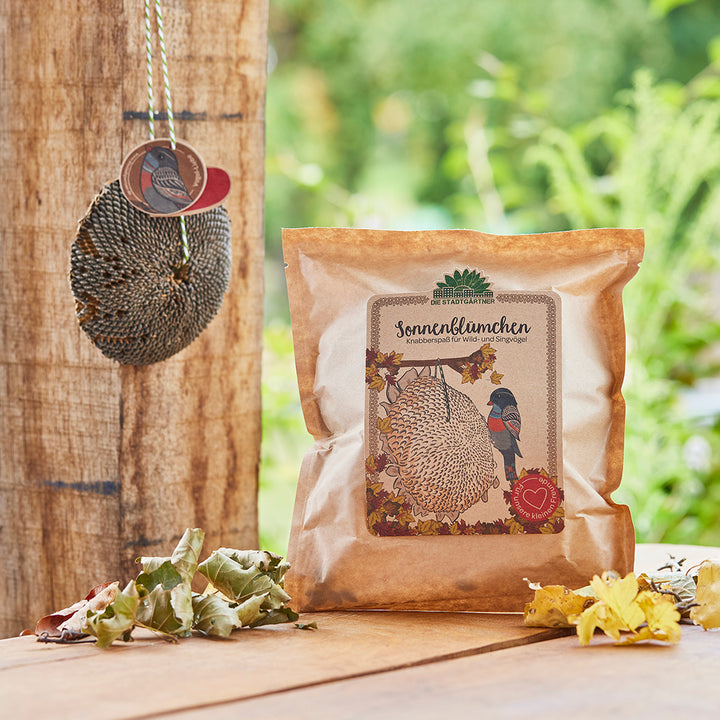Emballage de graines de tournesol pour oiseaux sur une table en bois extérieure, à côté de feuilles d'automne et d'une mangeoire à oiseaux suspendue.