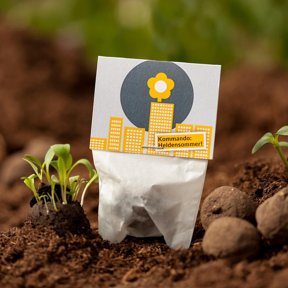 Un sachet de graines avec les mots « Commandement : Été héroïque ! » inscrits dans le sol à côté de jeunes plants.