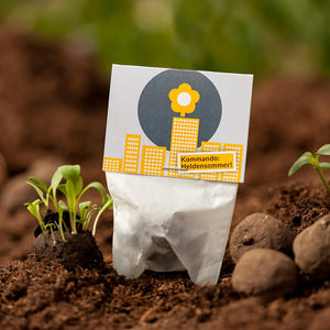 Un sachet de graines avec les mots « Commandement : Été héroïque ! » inscrits dans le sol à côté de jeunes plants.