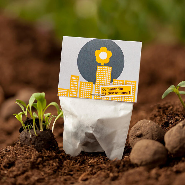 Un sachet de graines avec les mots « Commandement : Été héroïque ! » inscrits dans le sol à côté de jeunes plants.