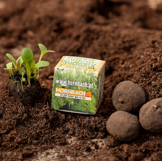 Plantez le semis à côté d'un cube avec l'inscription « hornbach.at » et des mottes de terre sur un sol fertile.