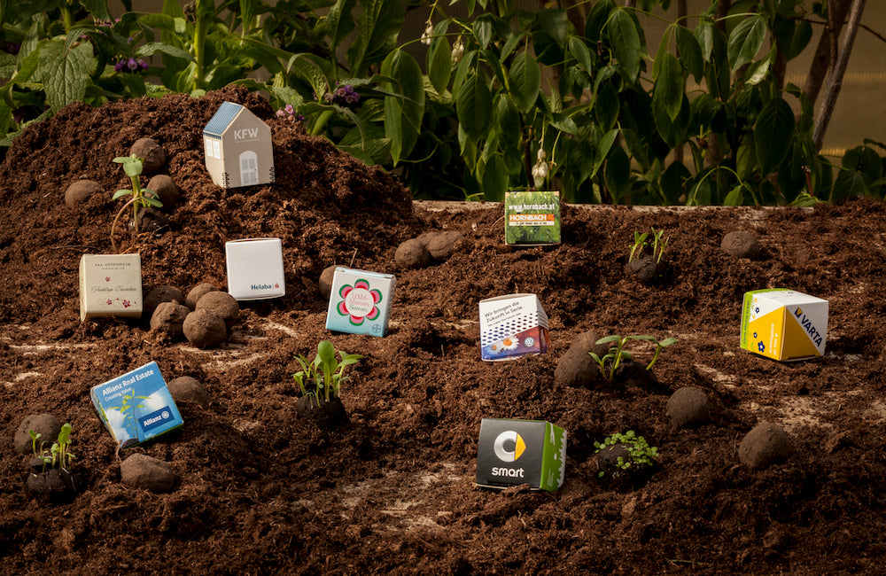 Différents sachets de graines disposés sur un sol modelé comme un paysage, avec de jeunes plantes commençant à pousser.