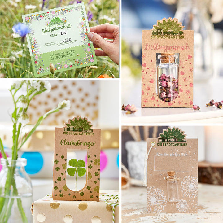 Collage de diverses cartes cadeaux et sachets de graines de "Die Stadtgärtner" avec des motifs de fleurs et de trèfles.