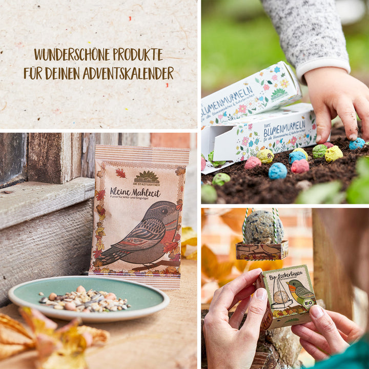 Collage de divers produits pour calendriers de l'Avent, notamment des boules de graines, de la nourriture pour oiseaux et des ensembles de plantation.