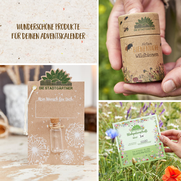 « Collage de produits écologiques, comprenant une carte, des sachets de graines et un porte-bonheur, avec des textes en allemand sur la durabilité et la nature. »