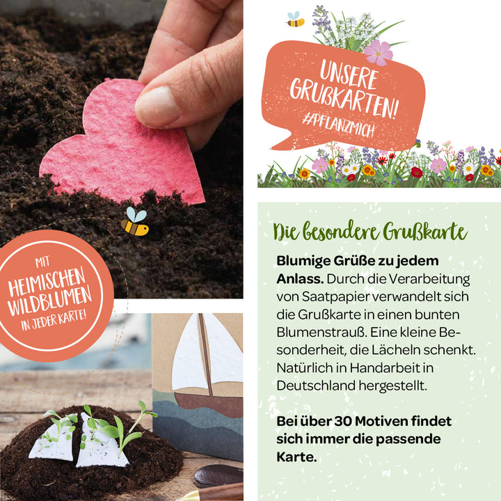 Image publicitaire pour cartes de vœux présentant du papier ensemencé se transformant en bouquets, avec une carte en forme de cœur plantable, un texte informatif et des symboles de fleurs sauvages.