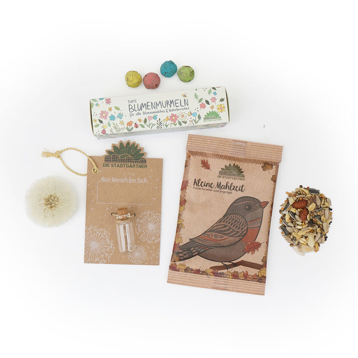 Divers cadeaux sur le thème du jardin, notamment des boules de graines de fleurs, une carte avec une bouteille de vœux, des graines pour oiseaux et un pissenlit.