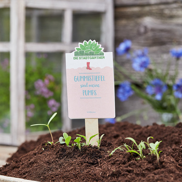 Un panneau sur lequel on peut lire « Les bottes en caoutchouc sont mes chaussures » est planté dans un parterre de jeunes plantes ; un arrière-plan flou de fleurs.