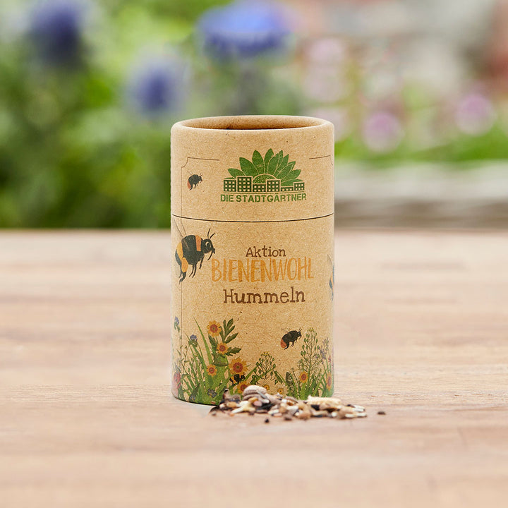 Tube en carton avec l'inscription "Aktion BIENENWOHL Bumblebees" et mélange de graines sur une surface en bois, avec des plantes floues en arrière-plan.