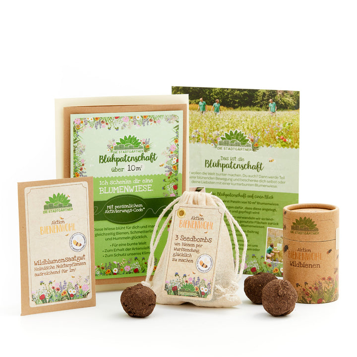 Divers produits et supports d'information pour promouvoir les prairies de fleurs sauvages et le bien-être des abeilles, notamment des graines, des bombes à graines et des brochures, avec des motifs floraux et un étiquetage allemand.