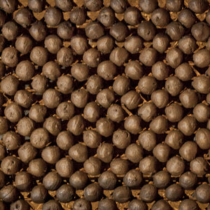 Gros plan de grains de poivre noir disposés régulièrement.