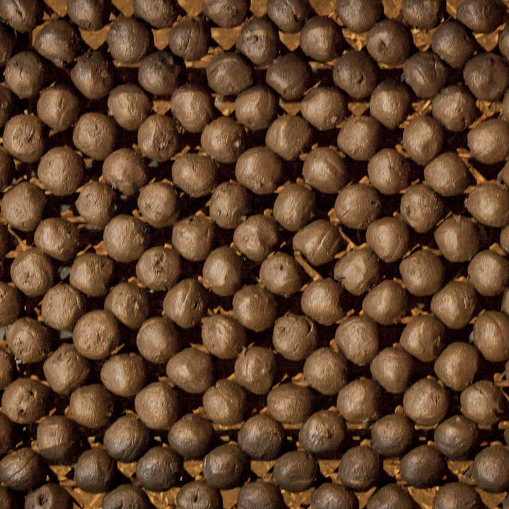Gros plan de grains de poivre noir disposés régulièrement.