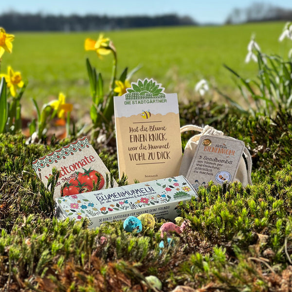 Sachets de graines et bombes de graines dans un pré avec des jonquilles en arrière-plan.