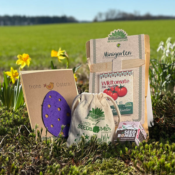 Kits horticoles avec graines et une carte portant l'inscription « Joyeuses Pâques » placée dans un pré avec des jonquilles en arrière-plan.
